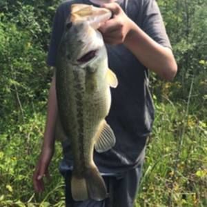 Meet your Posher, Cody